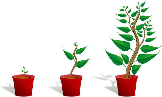 SEO Services in Kerala